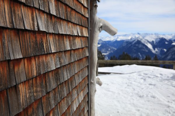 Cedar Siding Repair in Poulsbo