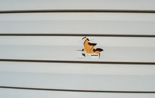 Siding Hole Repair in Poulsbo