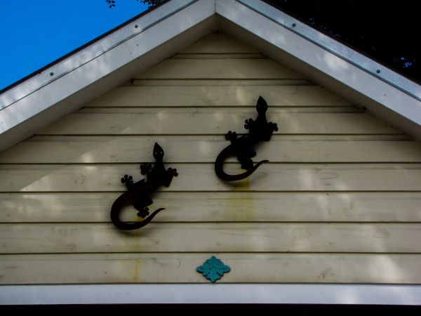 Shiplap Siding Installation in Poulsbo